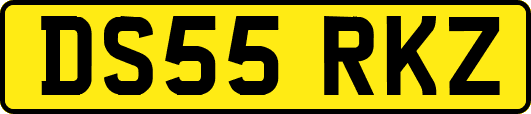 DS55RKZ