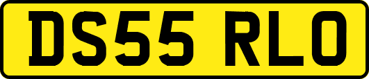 DS55RLO