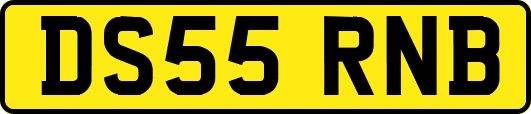 DS55RNB