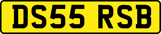 DS55RSB