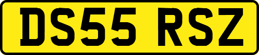 DS55RSZ