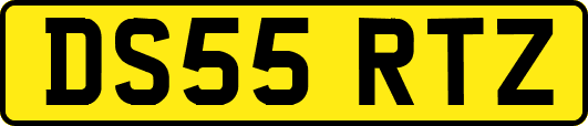 DS55RTZ