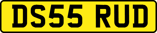 DS55RUD