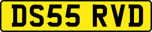DS55RVD