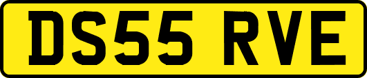 DS55RVE