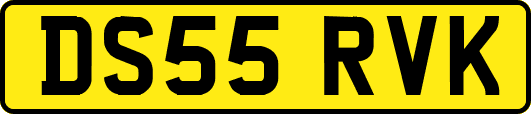 DS55RVK
