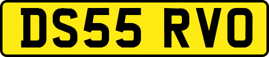 DS55RVO