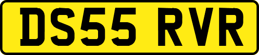 DS55RVR