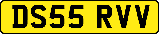 DS55RVV