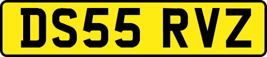 DS55RVZ