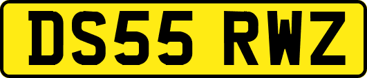 DS55RWZ