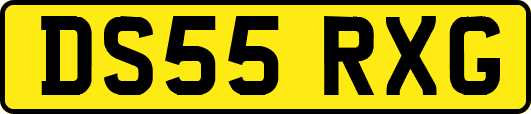 DS55RXG