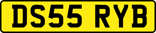 DS55RYB