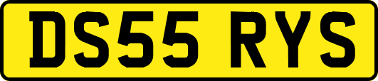 DS55RYS