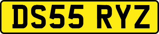 DS55RYZ