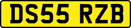 DS55RZB