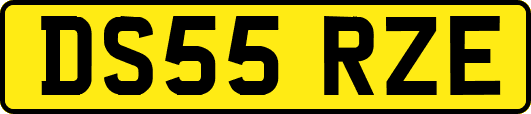 DS55RZE
