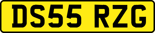 DS55RZG