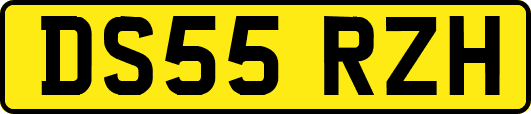 DS55RZH