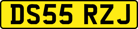 DS55RZJ