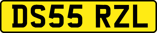 DS55RZL