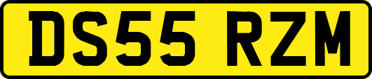 DS55RZM