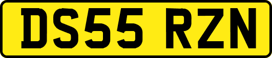 DS55RZN