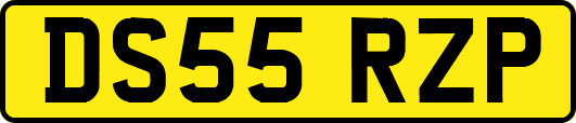 DS55RZP