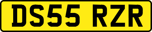 DS55RZR