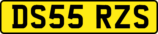 DS55RZS