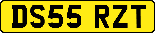 DS55RZT
