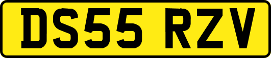 DS55RZV