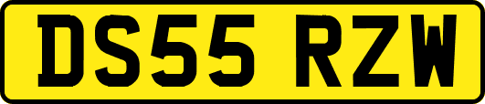 DS55RZW