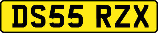 DS55RZX