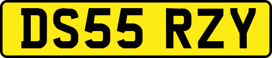 DS55RZY