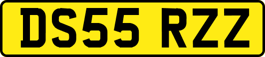 DS55RZZ