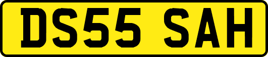 DS55SAH