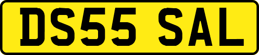 DS55SAL