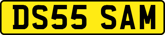 DS55SAM
