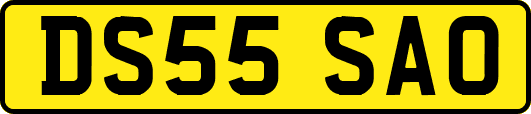 DS55SAO