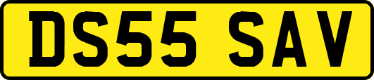 DS55SAV