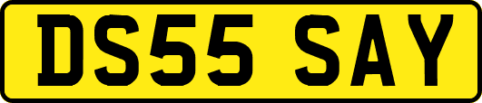 DS55SAY