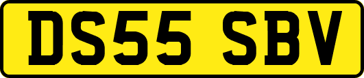 DS55SBV