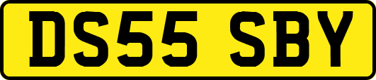 DS55SBY