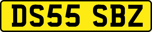 DS55SBZ