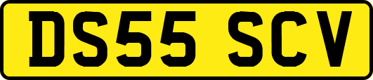 DS55SCV