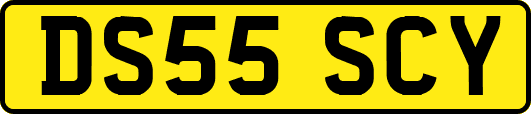 DS55SCY