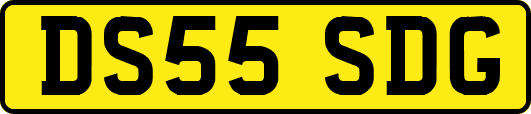 DS55SDG
