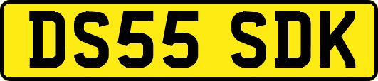 DS55SDK