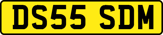 DS55SDM